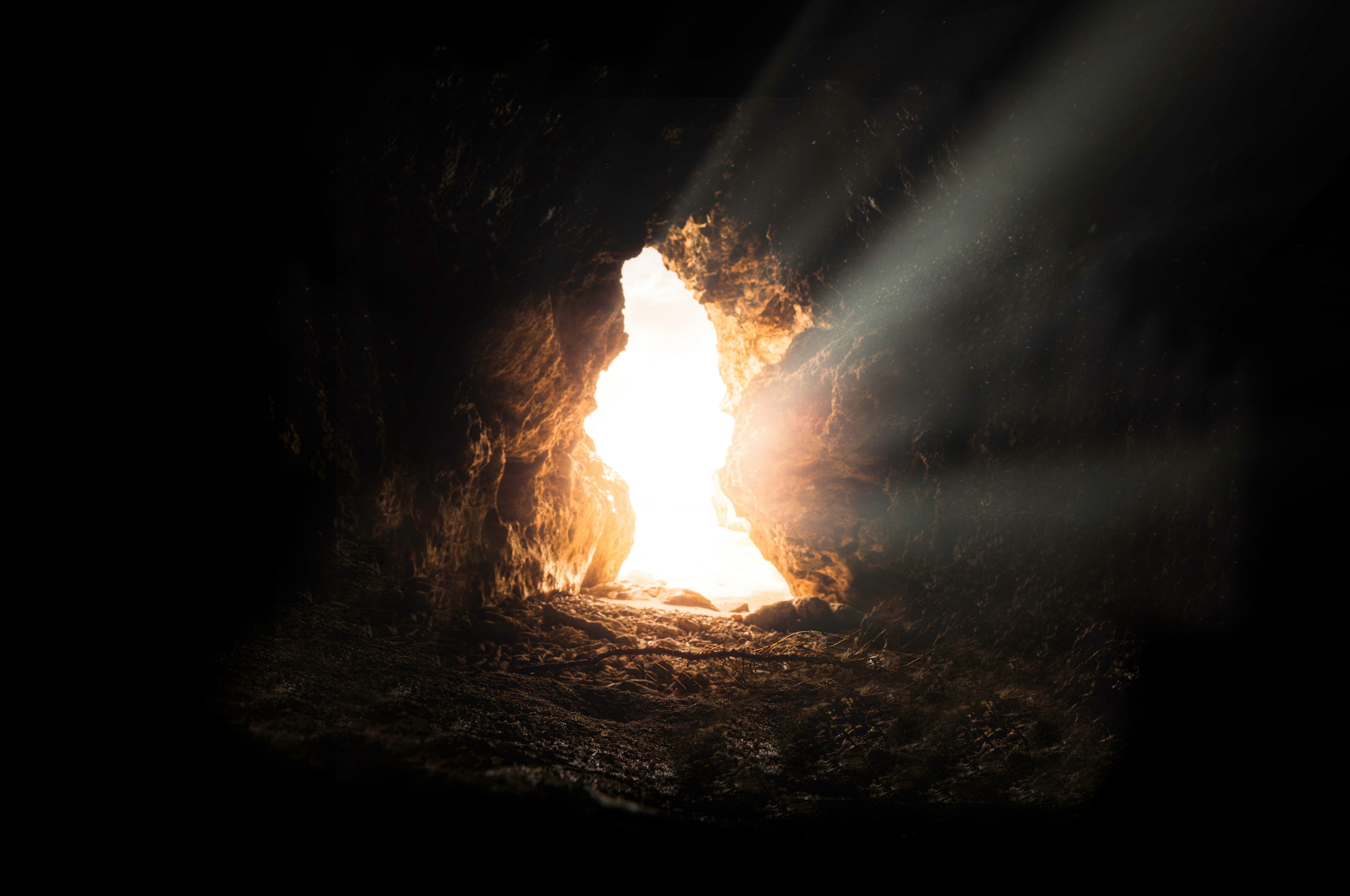 bruno-van-der-kraan-v2HgNzRDfII-unsplash.jpg
