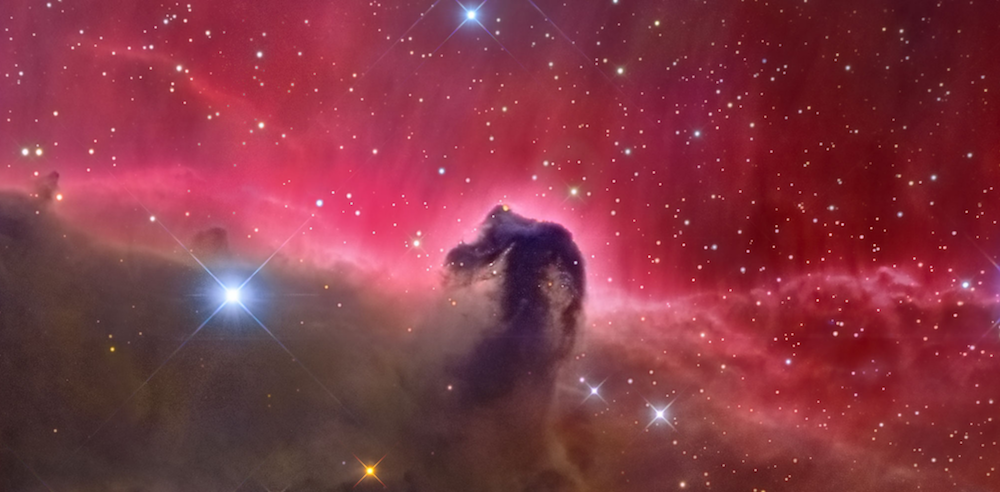 horsehead1.png
